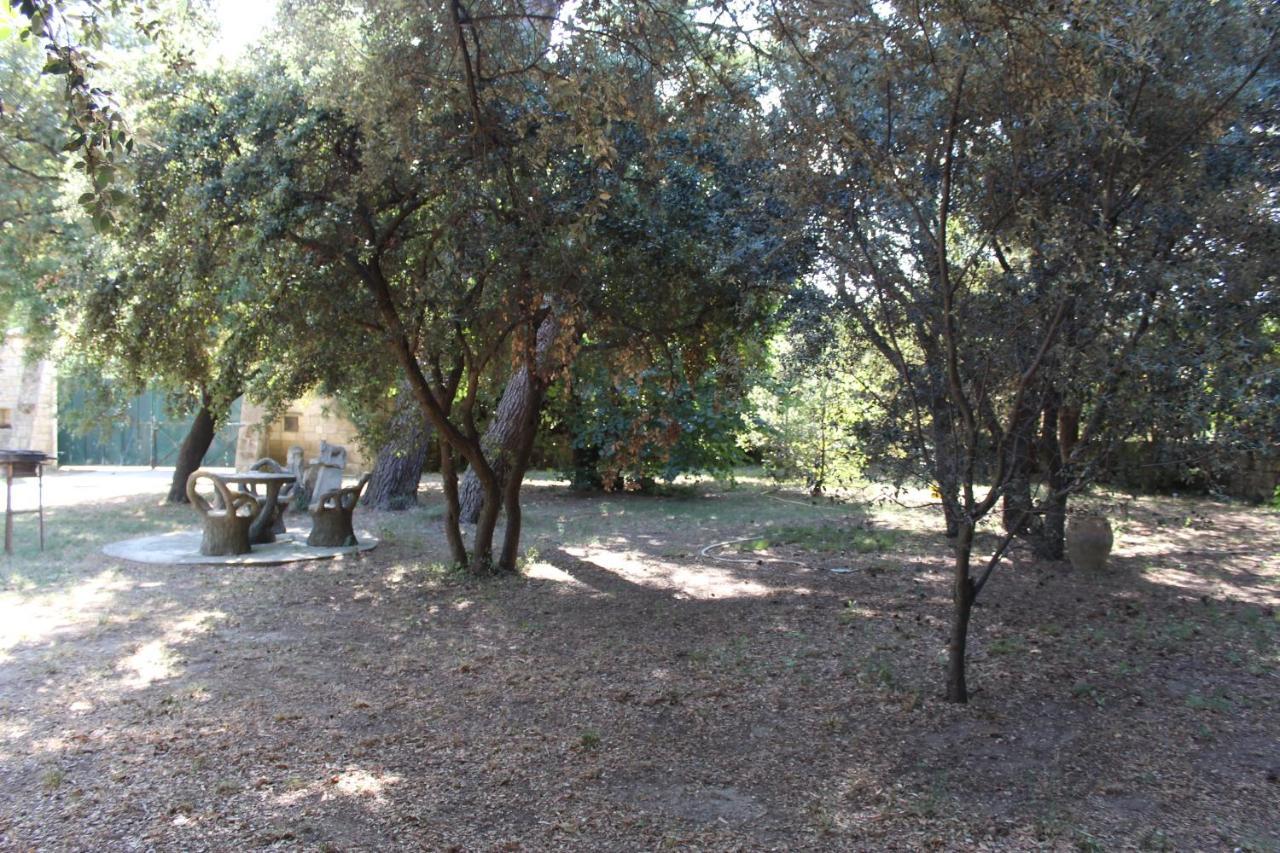 Le Mas De Lucien Entre Arles, Nimes, Avignon. Beaucaire  Exteriér fotografie