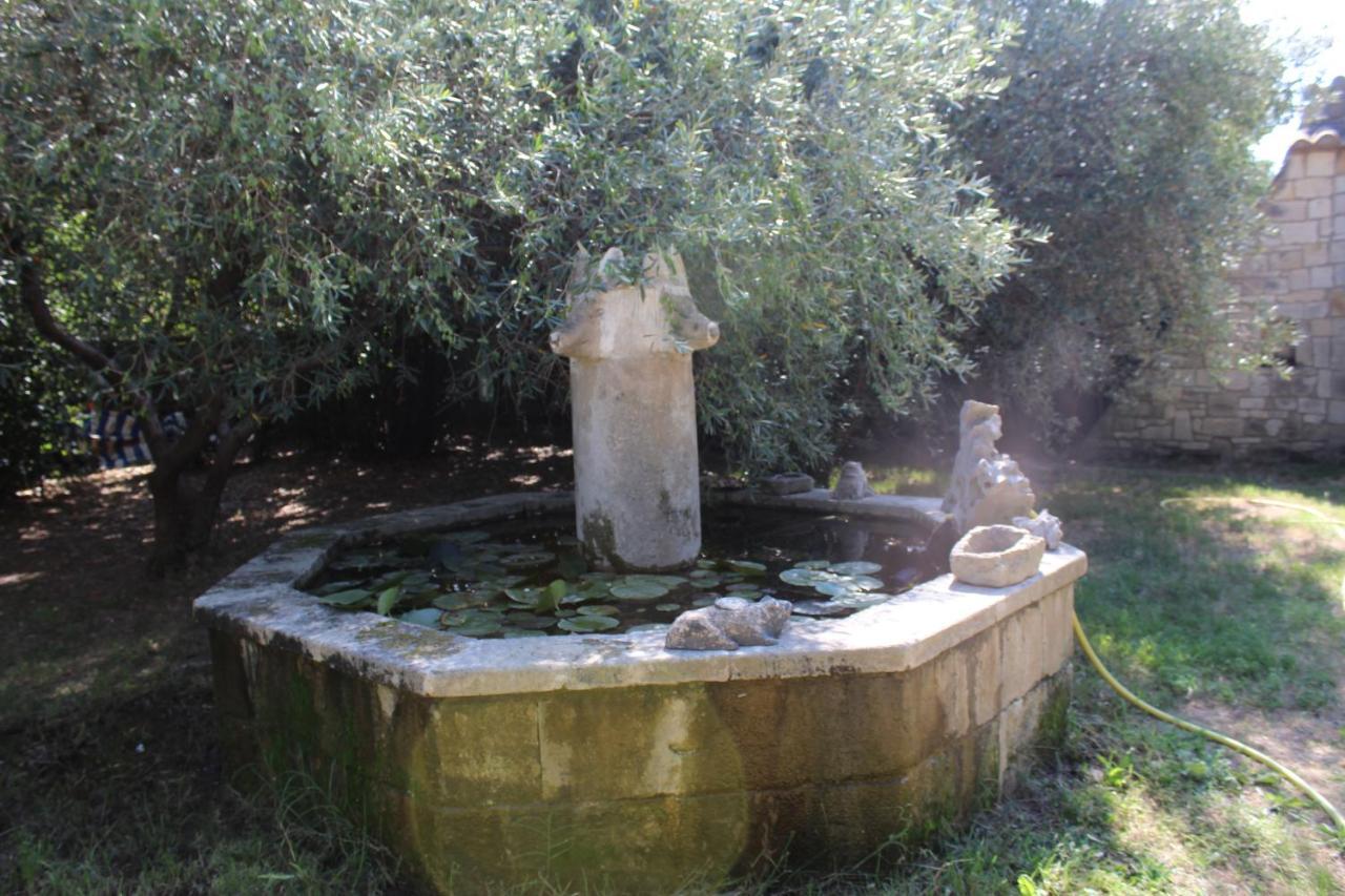 Le Mas De Lucien Entre Arles, Nimes, Avignon. Beaucaire  Exteriér fotografie