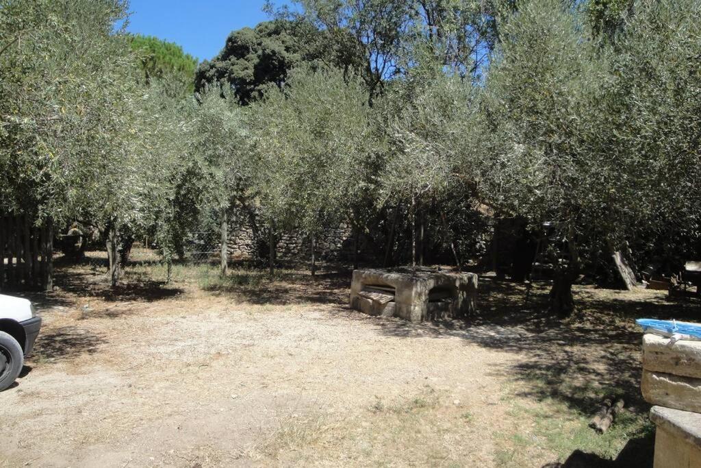 Le Mas De Lucien Entre Arles, Nimes, Avignon. Beaucaire  Exteriér fotografie