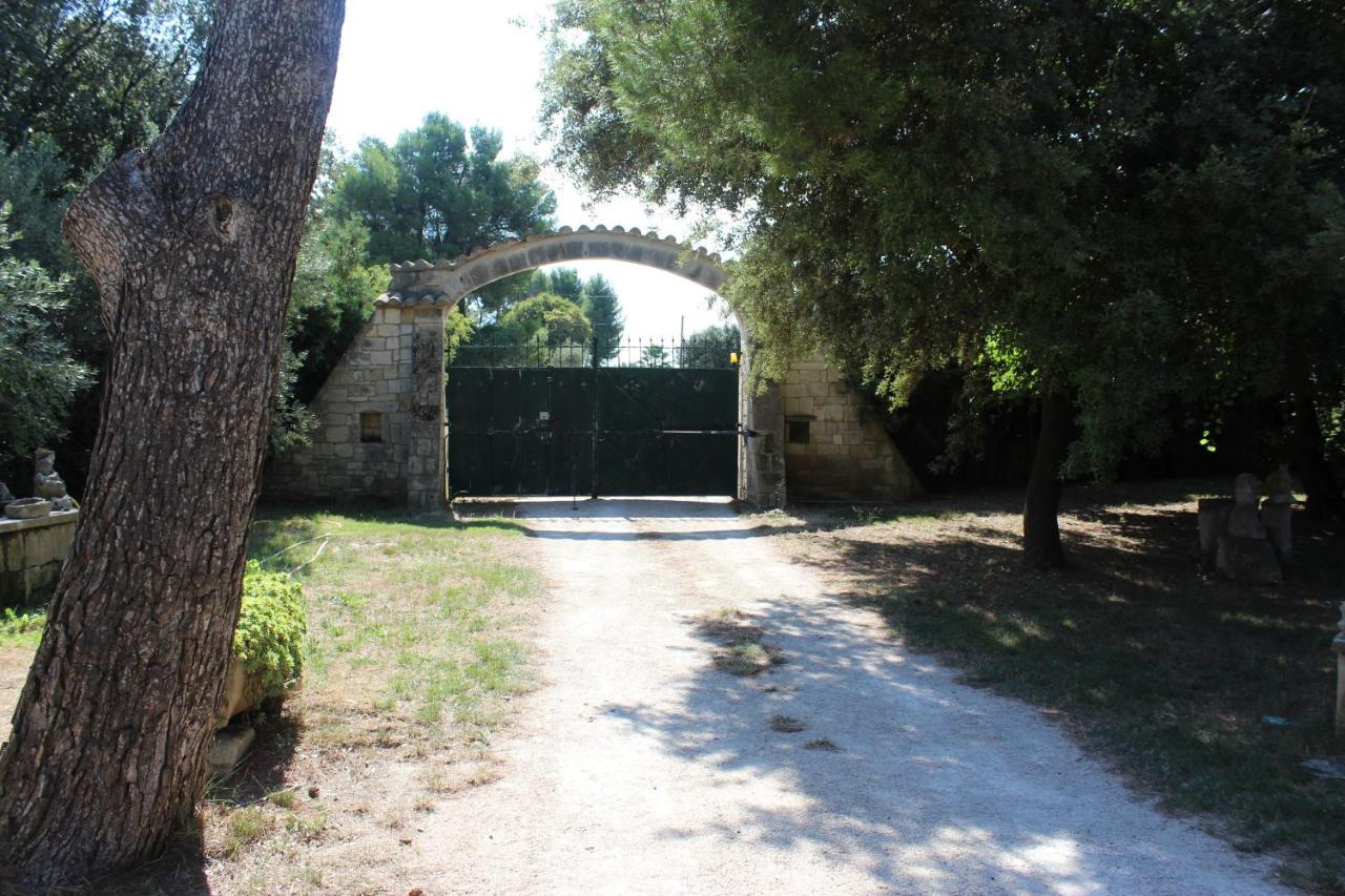 Le Mas De Lucien Entre Arles, Nimes, Avignon. Beaucaire  Exteriér fotografie